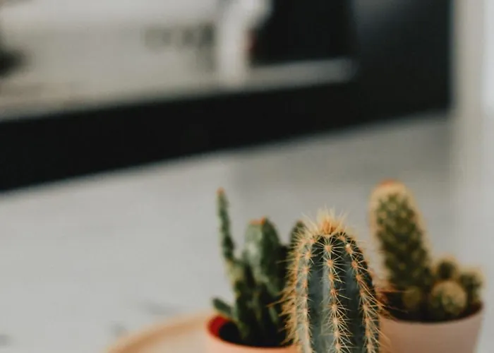 Zacht Zilt Apartment *